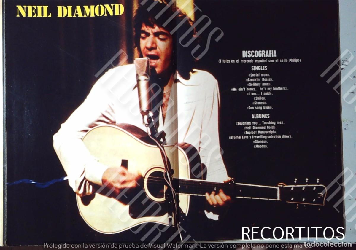 C&oacute;mics: NEIL DIAMOND REPORTAJE AMPLIO - Foto 1