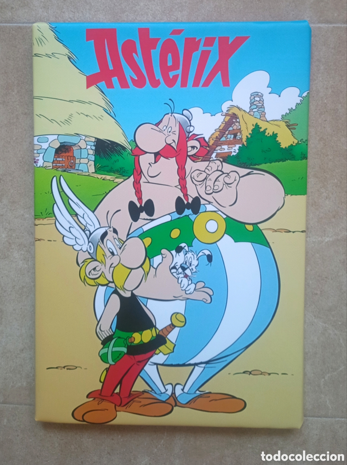 C&oacute;mics: Cuadro AST&Eacute;RIX Y OB&Eacute;LIX - Foto 1