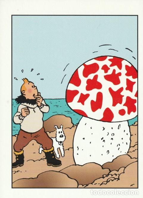 C&oacute;mics: POSTAL TINTIN HERG&Eacute; MOULINSART N&ordm; 038