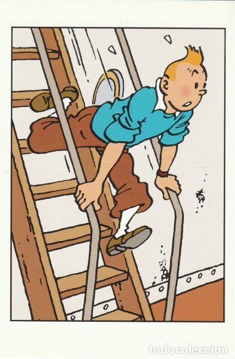 C&oacute;mics: POSTAL TINTIN HERG&Eacute; MOULINSART N&ordm; 025