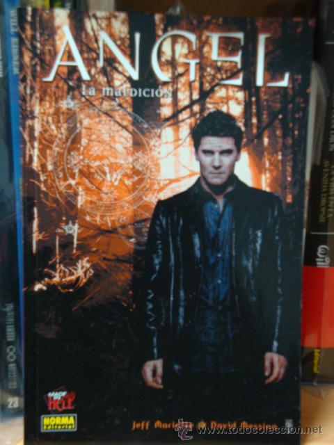 C&oacute;mics: ANGEL. LA MALDICI&Oacute;N, de David Messina, Jeff Mariotte - Foto 1