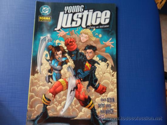 C&oacute;mics: YOUNG JUSTICE: RAREZAS NO INVITADAS - DC -NORMA EDITORIAL - Foto 1