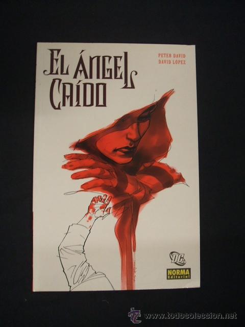 C&oacute;mics: EL ANGEL CAIDO - N&ordm; 1 - PETER DAVID - NORMA EDITORIAL - - Foto 1