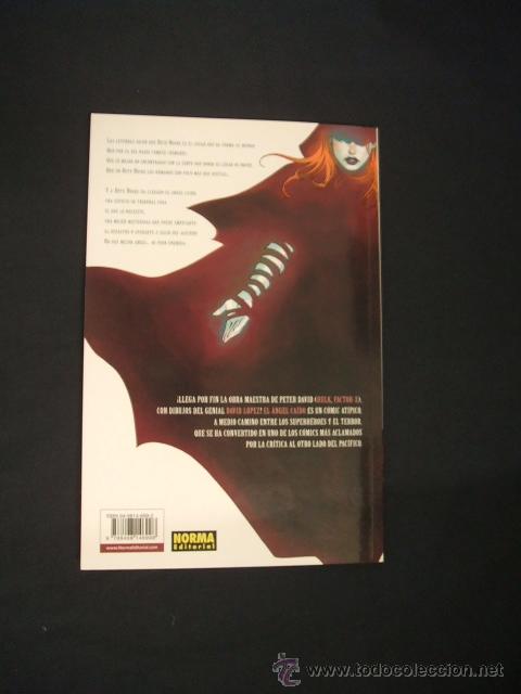 C&oacute;mics: EL ANGEL CAIDO - N&ordm; 1 - PETER DAVID - NORMA EDITORIAL - - Foto 3