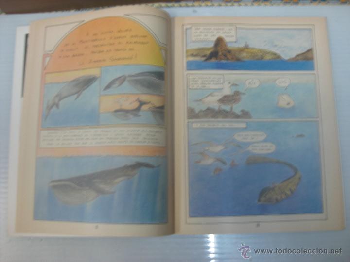 C&oacute;mics: Especial Estiu Mussol - Foto 1