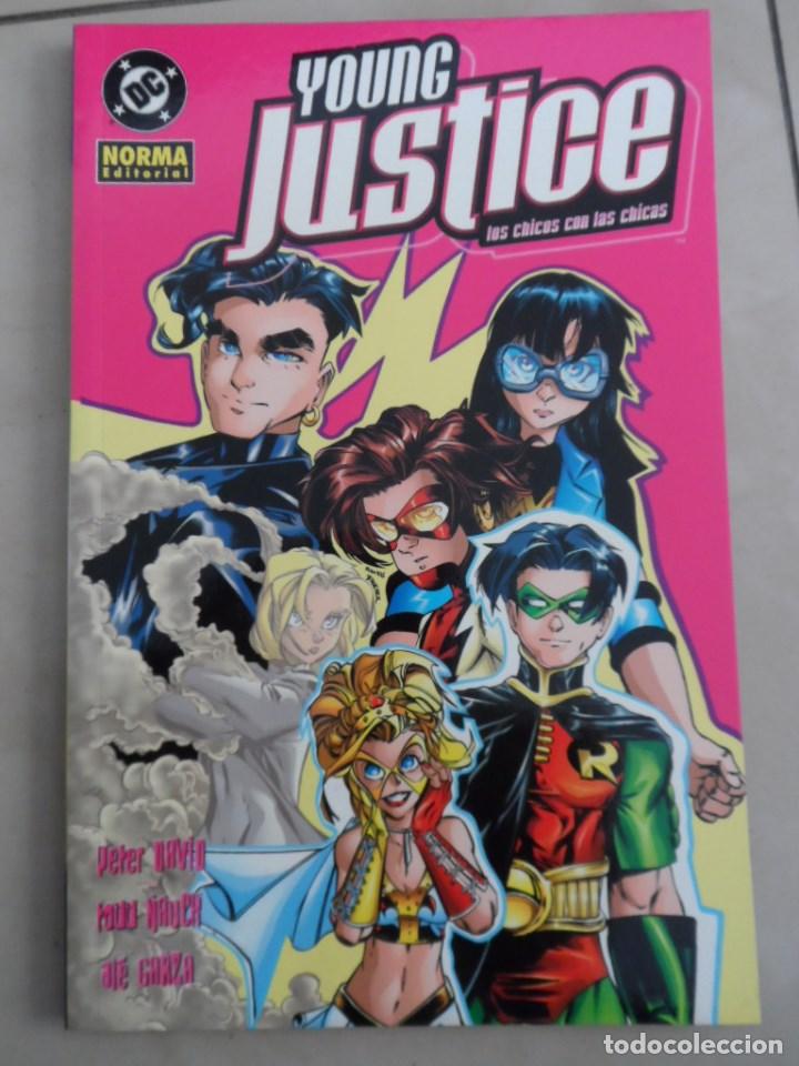 C&oacute;mics: YOUNG JUSTICE - LOS CHICOS CON LAS CHICAS - NORMA - PETER DAVID & TODD NAUCK - Foto 1
