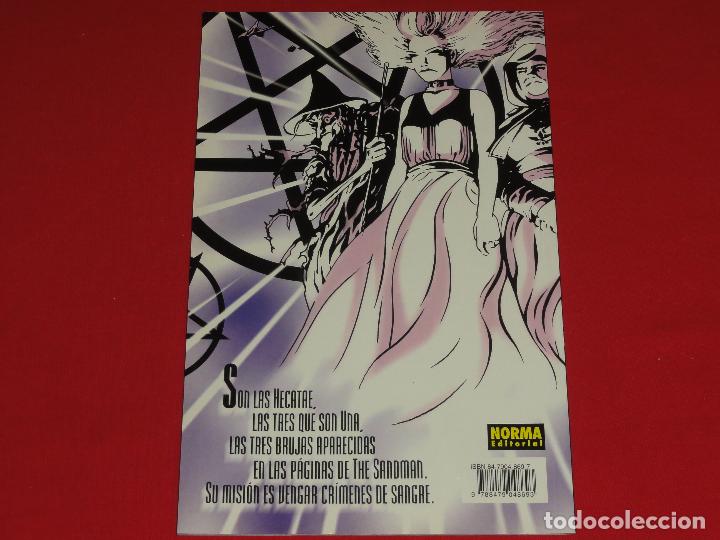 C&oacute;mics: BRUJERIA. 1 DE 3. VERTIGO. AGOTADO!!. C-19 - Foto 2