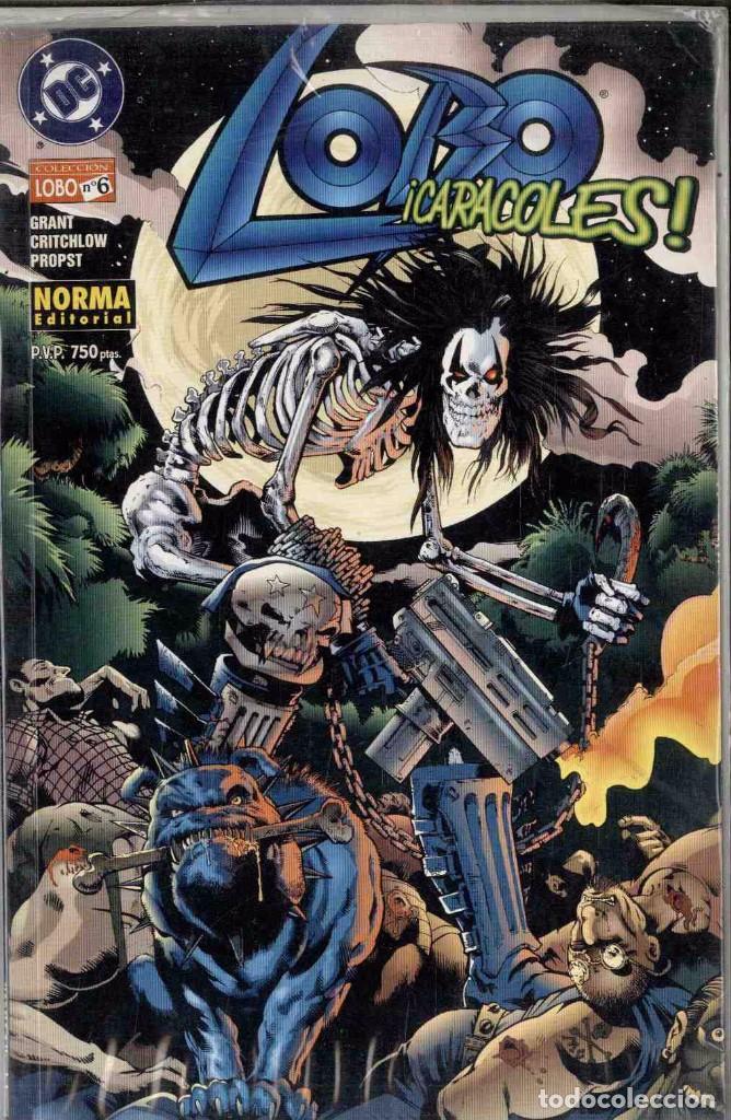 C&oacute;mics: LOBO N&ordm; 6. &iquest;CARACOLES! NORMA - Foto 1
