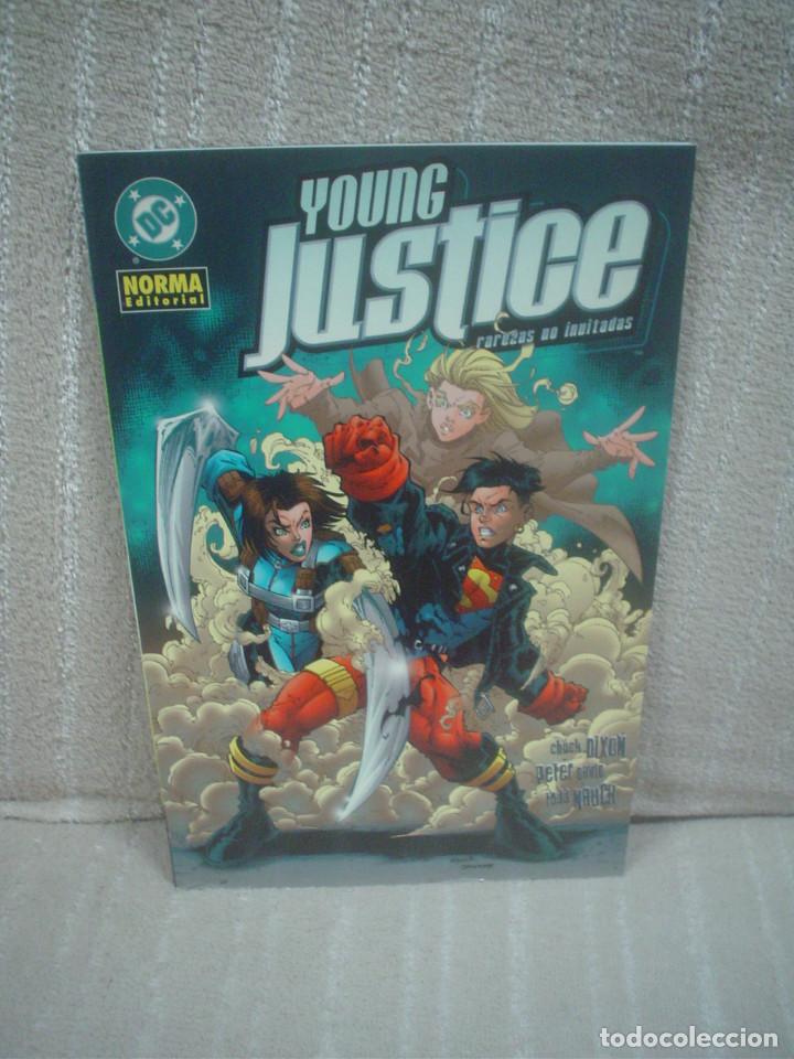 C&oacute;mics: YOUNG JUSTICE - RAREZAS NO INVITADAS - Foto 1