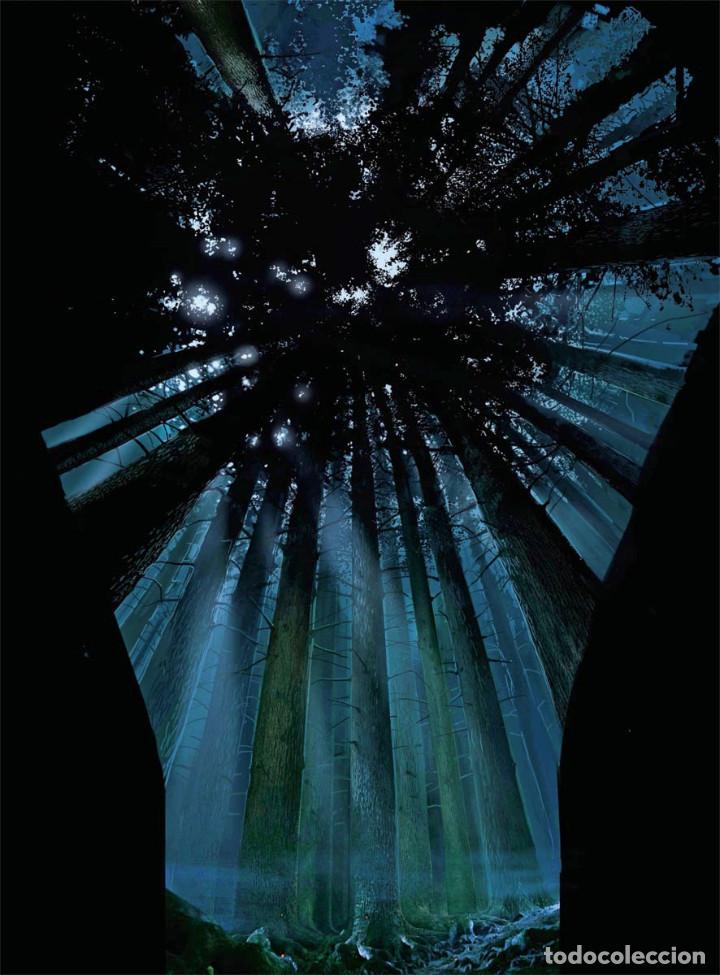 C&oacute;mics: C&oacute;mics. EL ARTE DE HARRY POTTER - Marc Sumerak (Carton&eacute;) - Foto 5