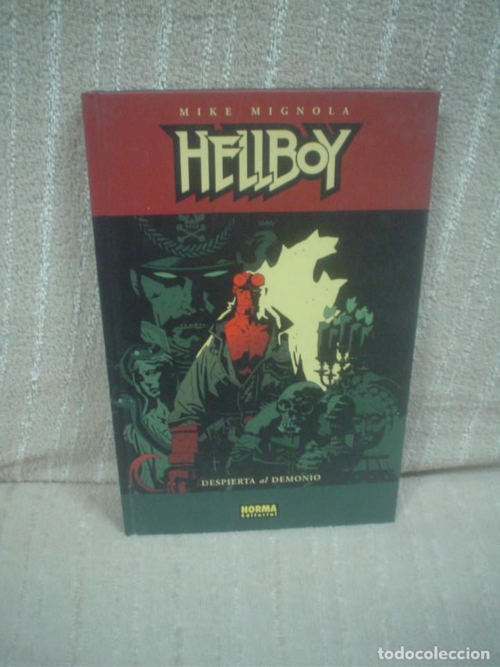 C&oacute;mics: HELLBOY - DESPIERTA AL DEMONIO - CARTON&Eacute; - Foto 1