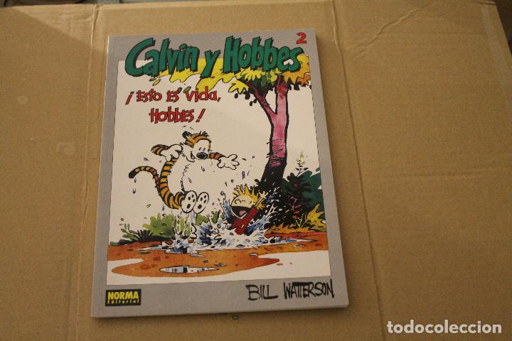 C&oacute;mics: CALVIN Y HOBBES N&ordm; 2, R&Uacute;STICA, NORMA EDITORIAL - Foto 1