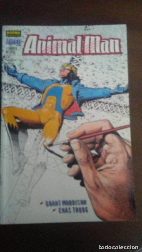 C&oacute;mics: ANIMAL MAN - EL EVANGELIO DEL COYOTE - Foto 1