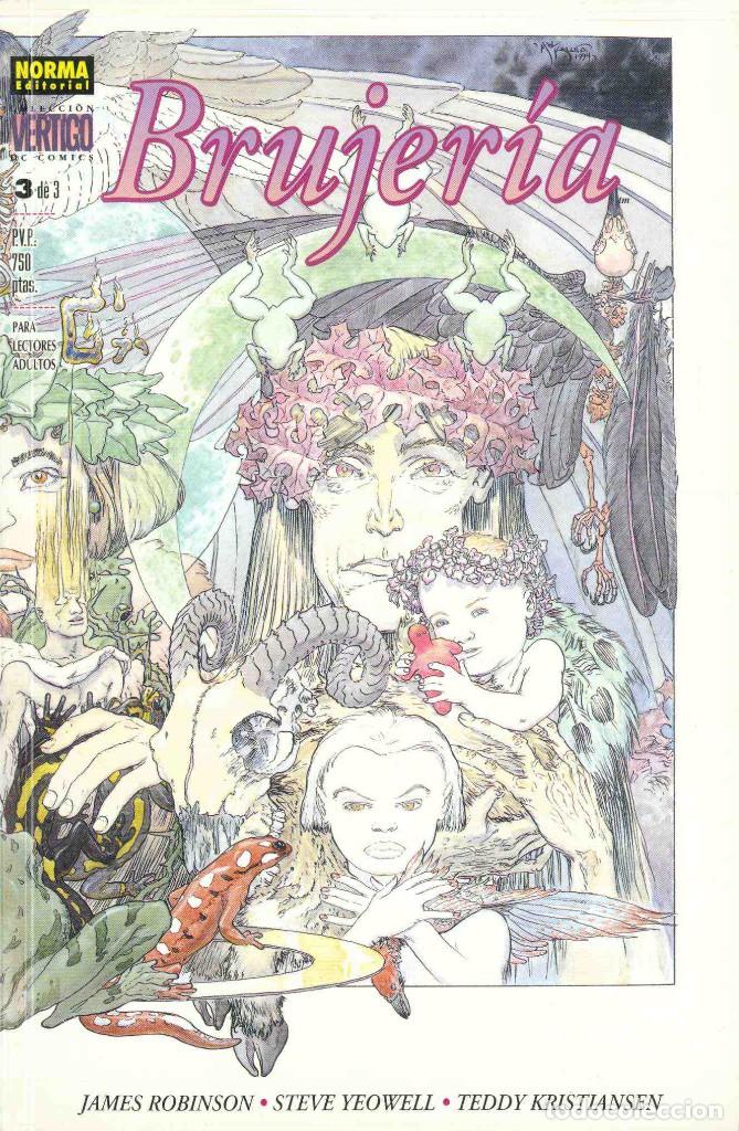 C&oacute;mics: vertigo, brujer&iacute;a, miniserie completa 3 n&uacute;meros, Norma - Foto 1