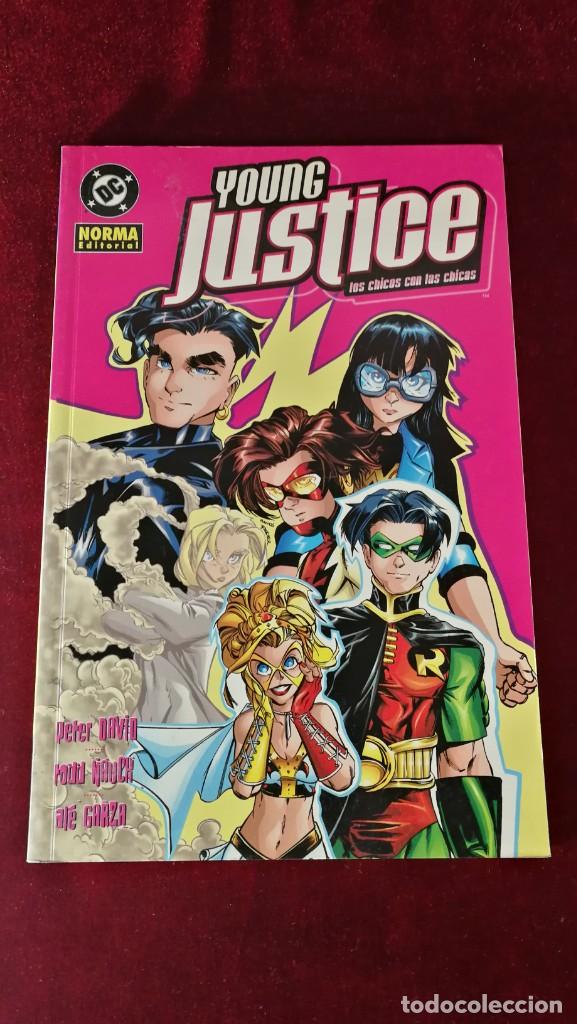 C&oacute;mics: Dc Norma - Young Justice Los chicos con las chicas - Foto 1
