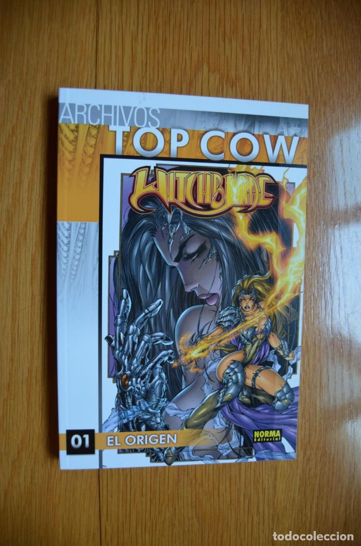 C&oacute;mics: Archivos Top Cow: Witchblade 1 - Foto 1