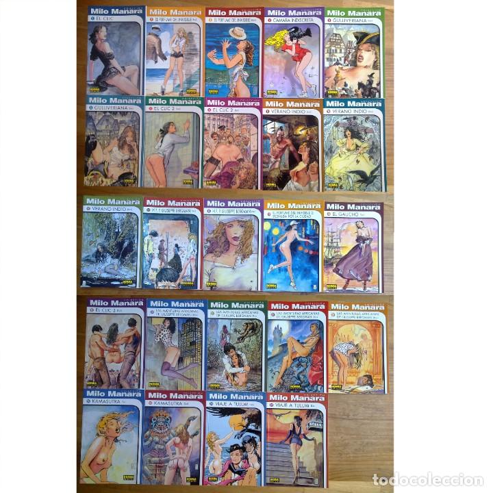 C&oacute;mics: COLECCI&Oacute;N MILO MANARA (N&ordm; 1 al 15 y 19 al 27) - NORMA EDITORIAL - R&Uacute;STICA EXCELENTE ESTADO