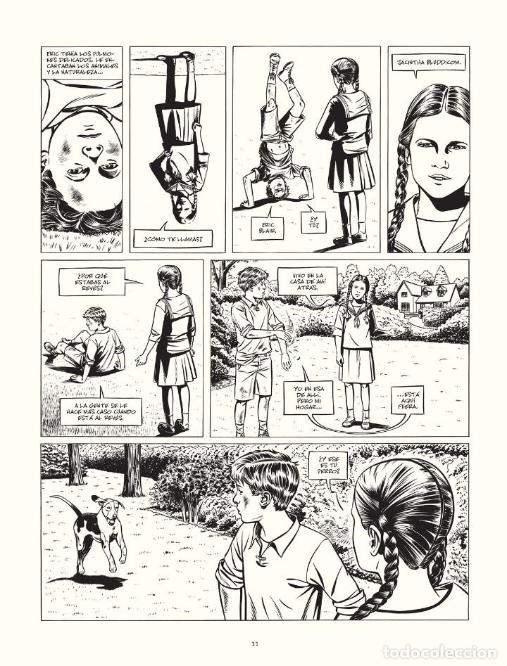 C&oacute;mics: C&oacute;mics. ORWELL - Pierre Christin (Carton&eacute;) - Foto 6