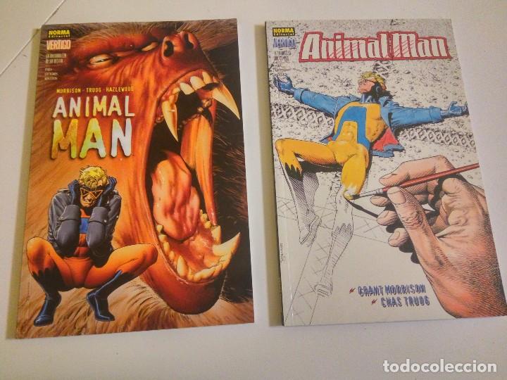 C&oacute;mics: Lote de 2 comics Animal Man, de Greg Morrison y Chazz Truog - Foto 1