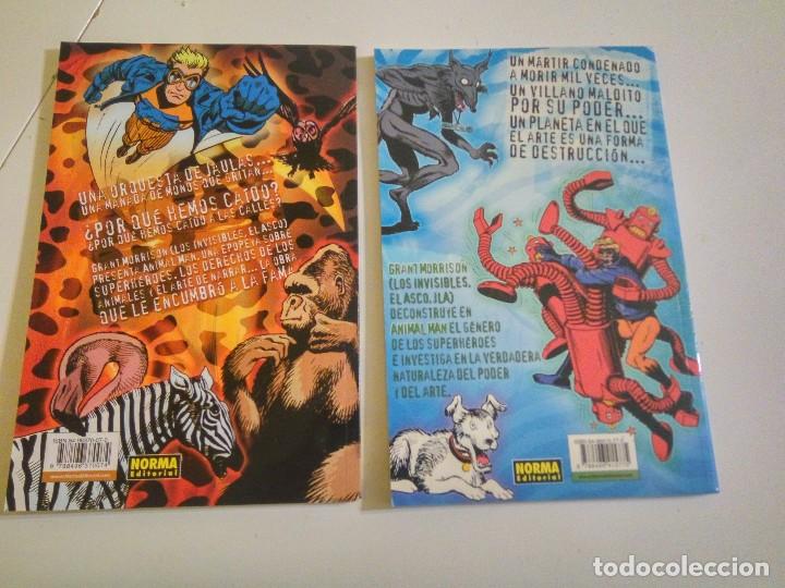C&oacute;mics: Lote de 2 comics Animal Man, de Greg Morrison y Chazz Truog - Foto 2