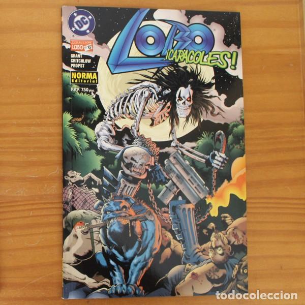 C&oacute;mics: COLECCION LOBO 6 CARACOLES. DC NORMA EDITORIAL - Foto 1