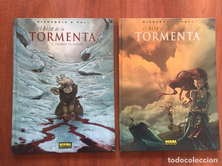 C&oacute;mics: EL HIJO DE LA TORMETA - Foto 1
