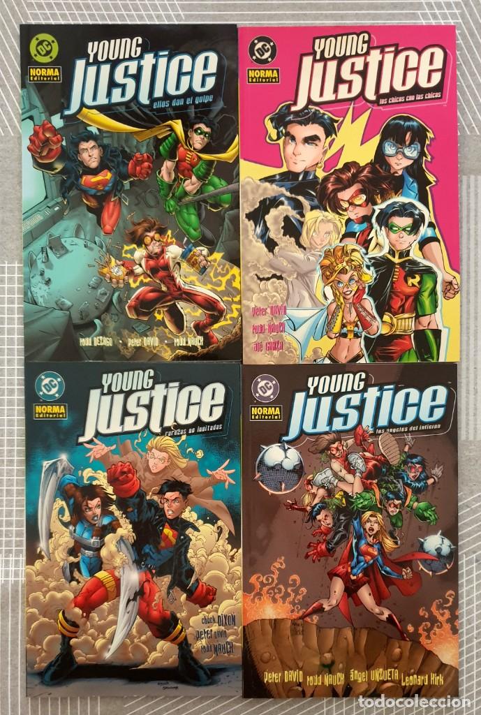 C&oacute;mics: YOUNG JUSTICE de Peter David. Lote de 4 tomos. Norma Editorial 2004 - Foto 1
