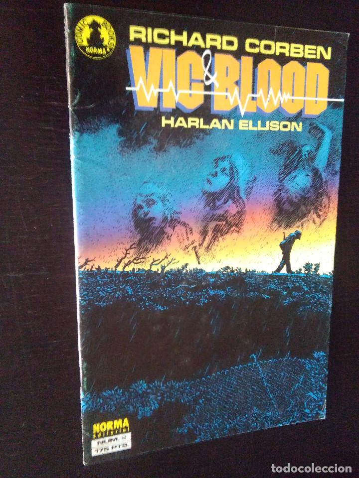 C&oacute;mics: VIC BLOOD 2 -RICHARD CORBEN-NORMA EDITORIAL - Foto 1