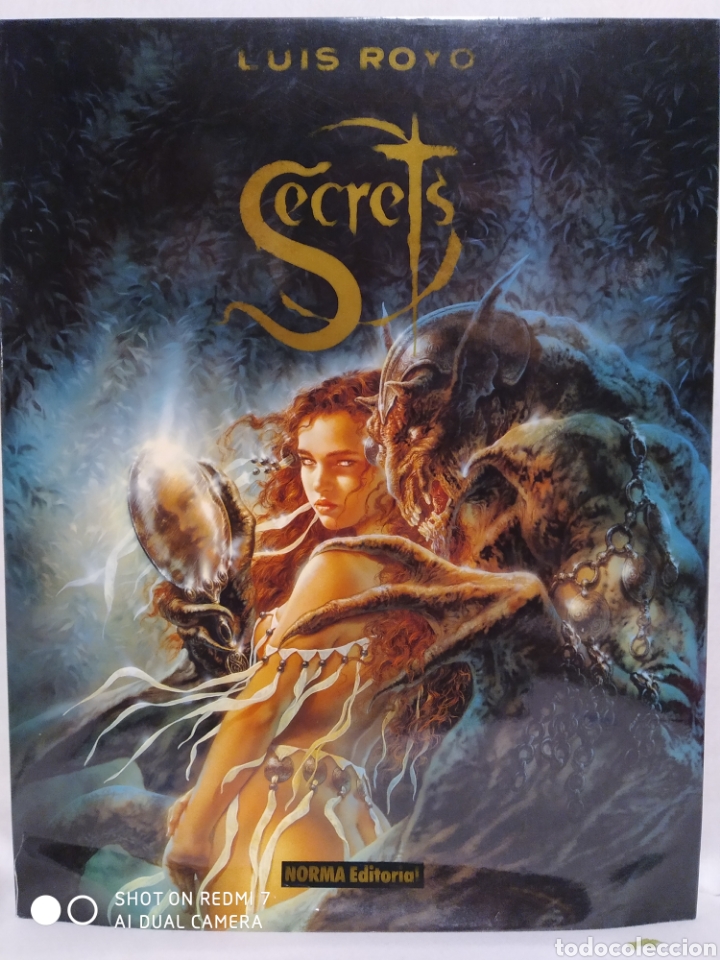 C&oacute;mics: COLECCI&Oacute;N LIBROS DE ILUSTRACIONES LUIS ROYO - Foto 2