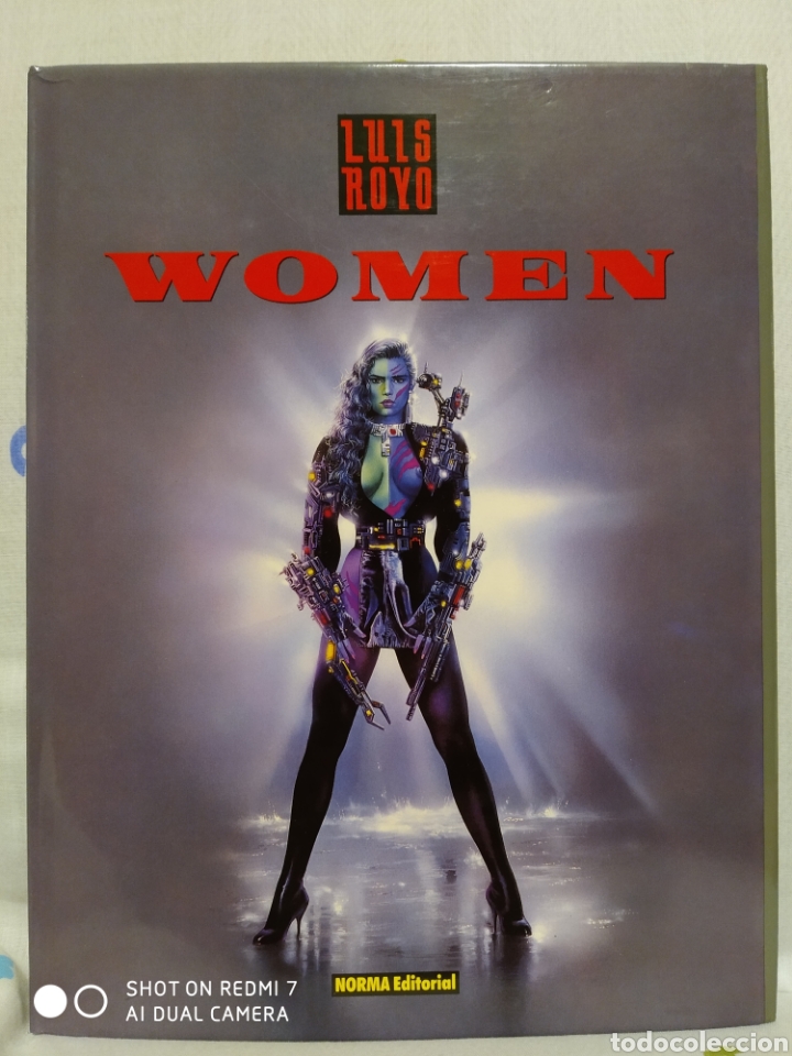 C&oacute;mics: COLECCI&Oacute;N LIBROS DE ILUSTRACIONES LUIS ROYO - Foto 3