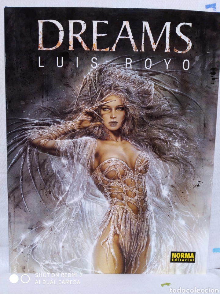 C&oacute;mics: COLECCI&Oacute;N LIBROS DE ILUSTRACIONES LUIS ROYO - Foto 5