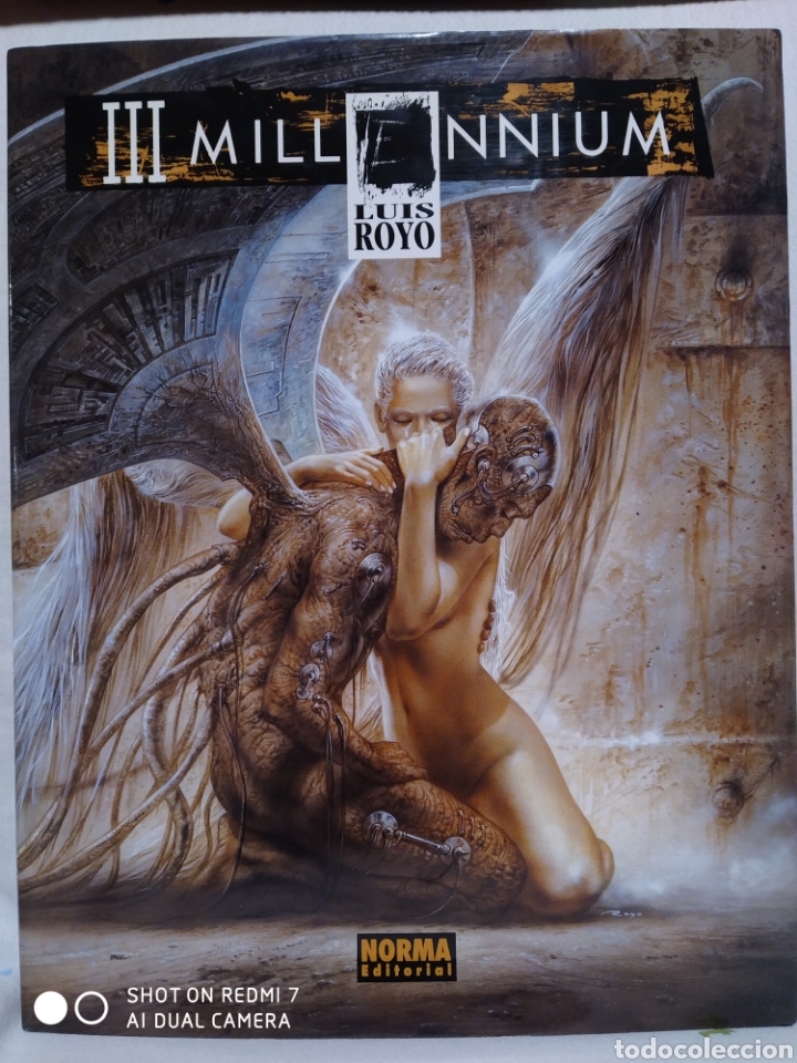 C&oacute;mics: COLECCI&Oacute;N LIBROS DE ILUSTRACIONES LUIS ROYO - Foto 1