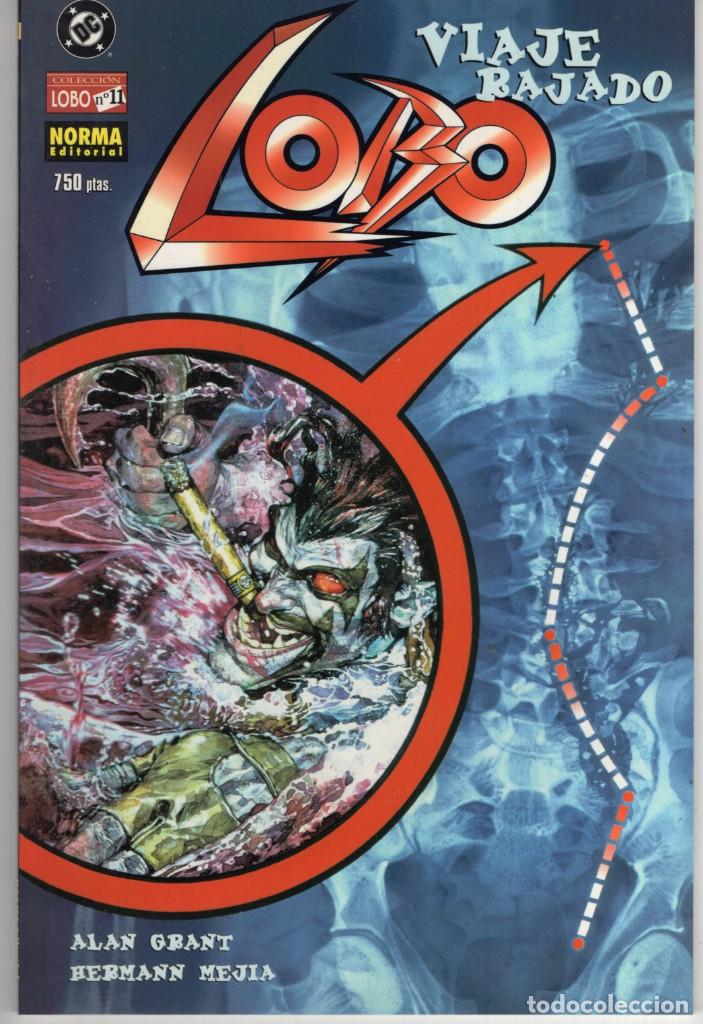 C&oacute;mics: LOBO N&ordm; 11 - NORMA - ESTADO EXCELENTE - Foto 1