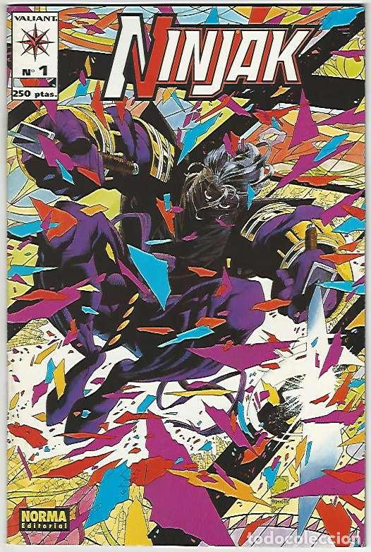 C&oacute;mics: Norma. Ninjak. 1 - Foto 1
