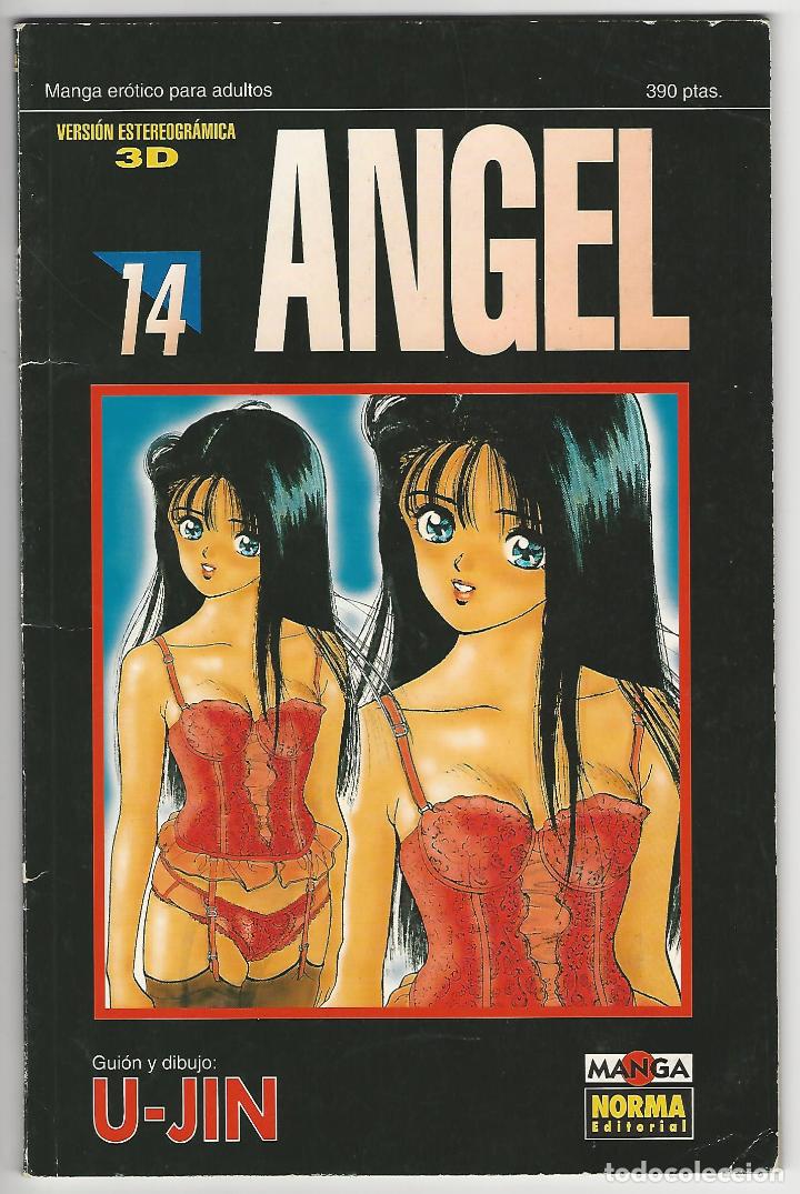 C&oacute;mics: Norma. Manga. Angel. 14. - Foto 1