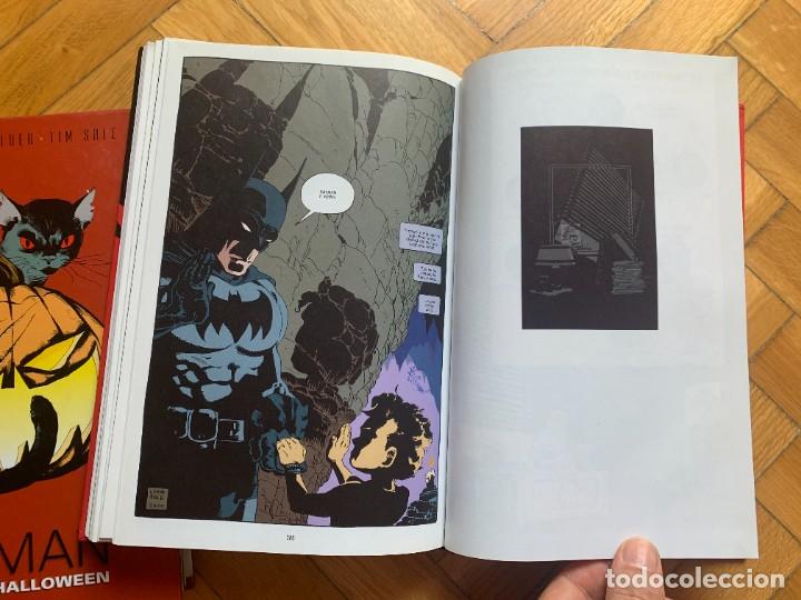 C&oacute;mics: Batman Dark Victory - D2 - Foto 4