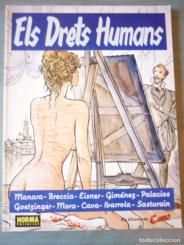 C&oacute;mics: ELS DRETS HUMANS-varis autors -Norma editorial - Foto 1