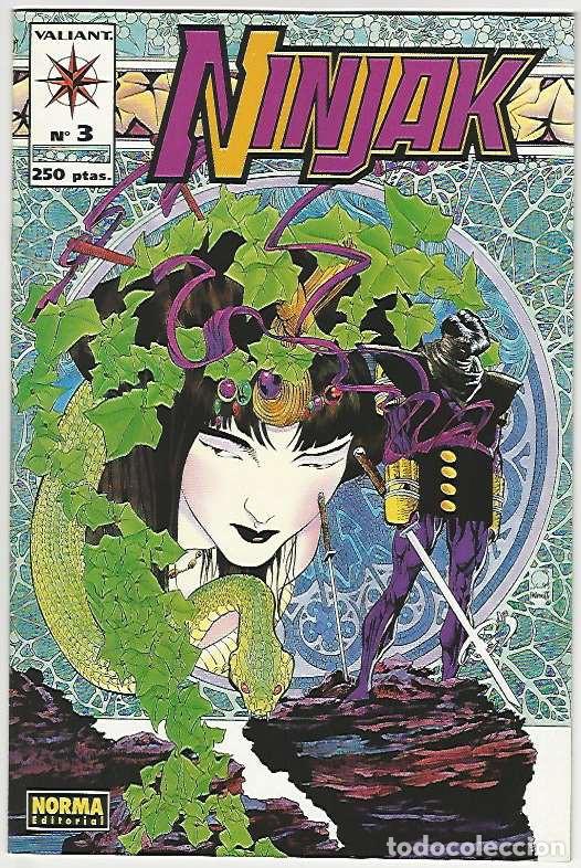 C&oacute;mics: Norma. Ninjak. 3 - Foto 1