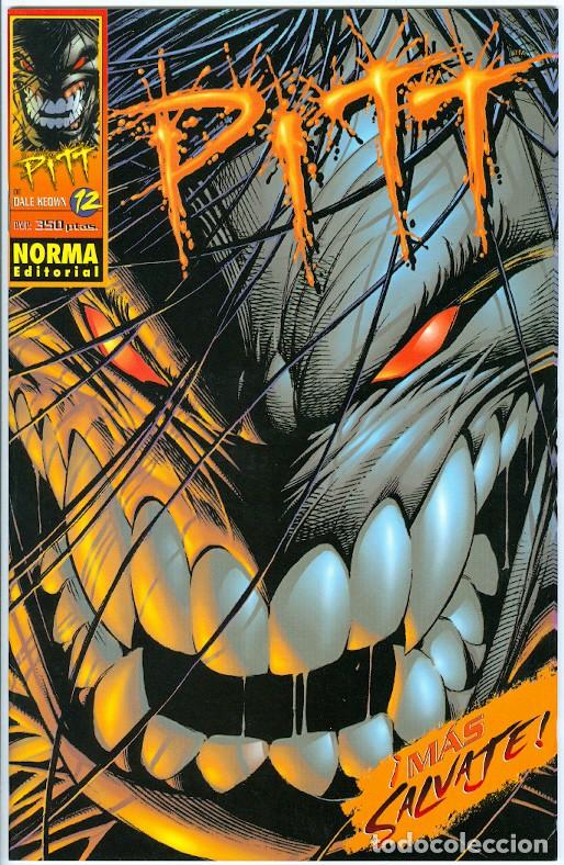 C&oacute;mics: Norma. Pitt. 12. - Foto 1