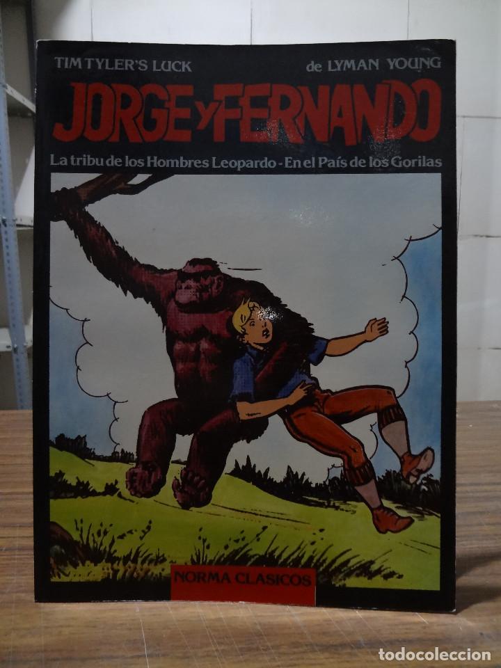 C&oacute;mics: COLECCION NORMA CLASICOS 10 TOMOS - Foto 12