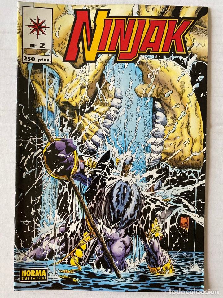 C&oacute;mics: NINJAK #2 muy buen estado VALIANT NORMA - Foto 1