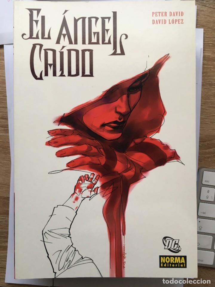 C&oacute;mics: El &Aacute;ngel Ca&iacute;do volumen 1 - Peter David - Foto 1