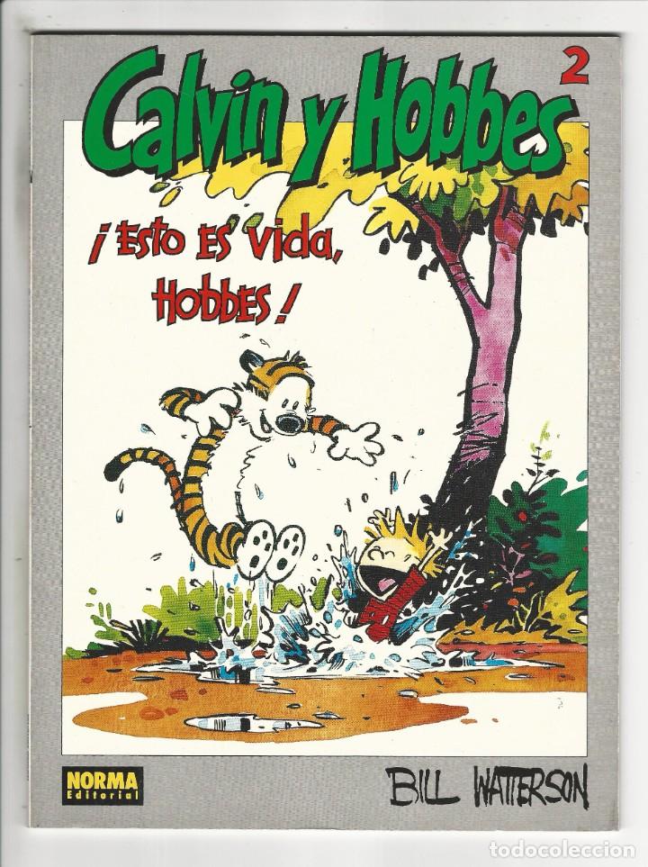 C&oacute;mics: Norma. Calvin h Hobbes. 2. Bill Watterson. - Foto 1
