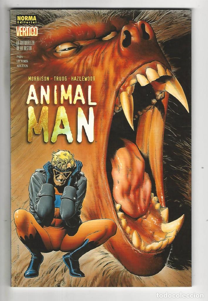 C&oacute;mics: Norma. V&eacute;rtigo. 264. - Foto 1
