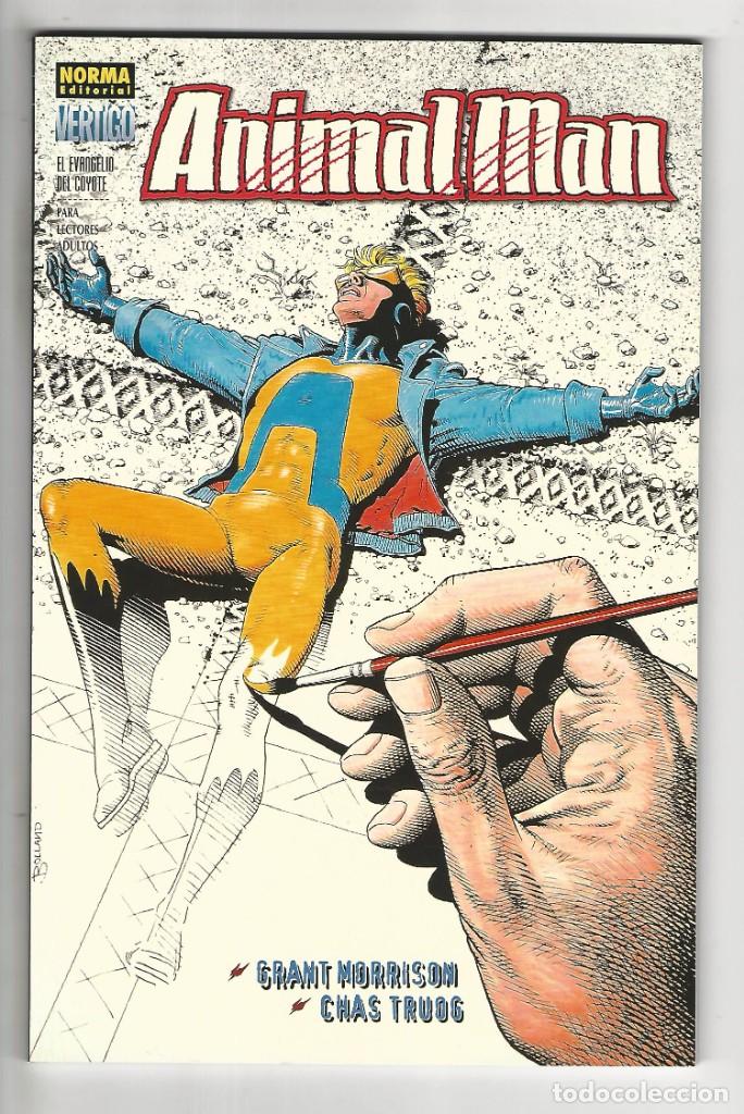 C&oacute;mics: Norma. V&eacute;rtigo. 272. - Foto 1