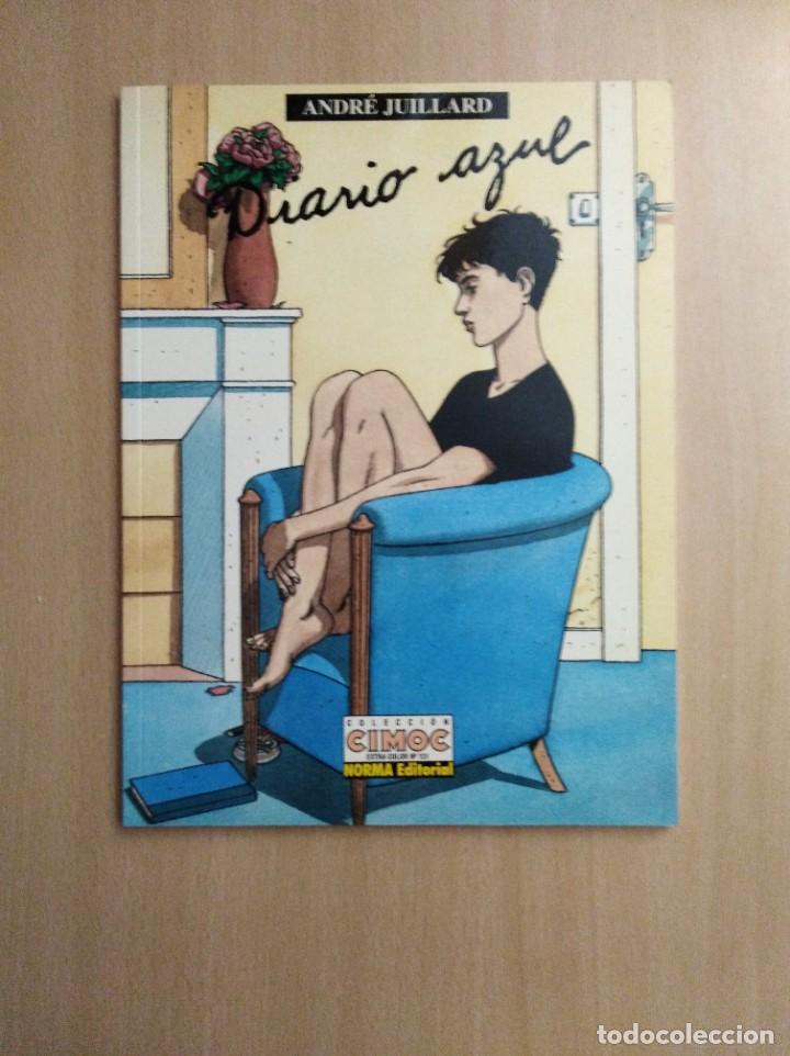 C&oacute;mics: DIARIO AZUL. Andr&eacute; Juillard - Foto 1