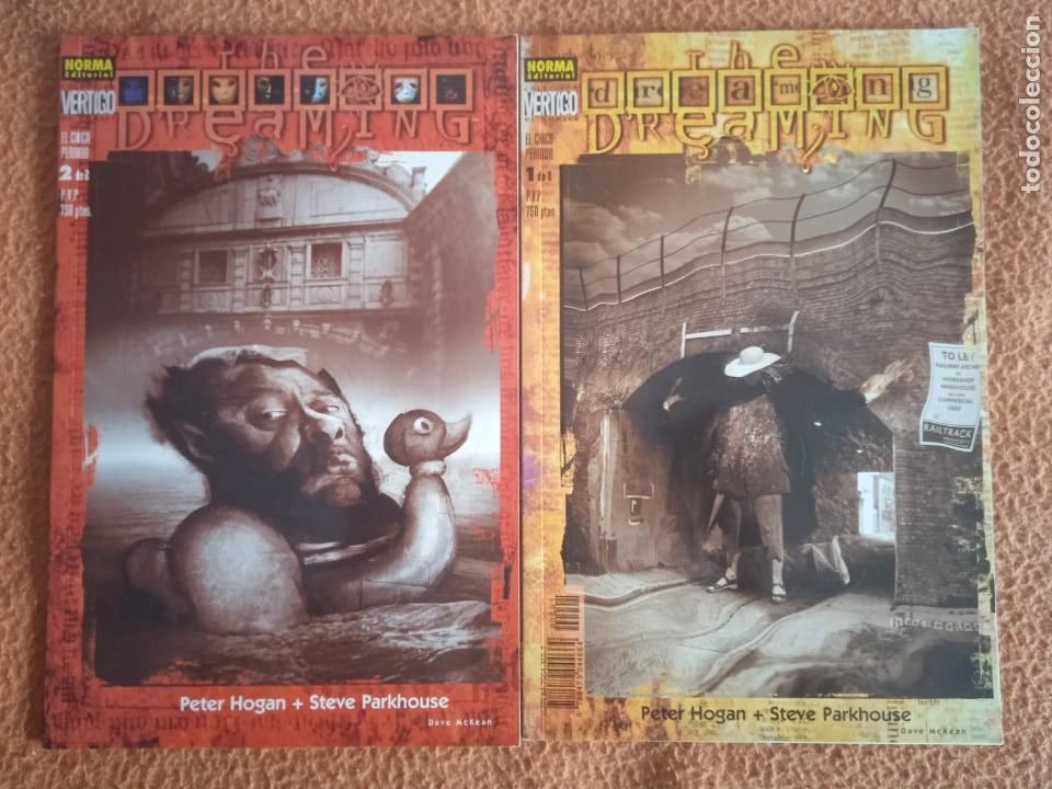 C&oacute;mics: THE DREAMING: EL CHICO PERDIDO - 1 y 2 (COMPLETA) COL. VERTIGO N&ordm; 14 Y 16 - Foto 1