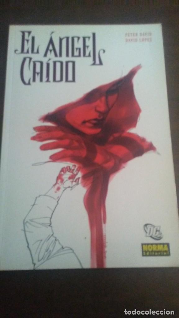 C&oacute;mics: EL ANGEL CAIDO n&ordm;1 - Foto 1