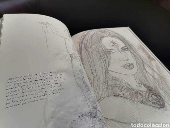 C&oacute;mics: LUIS ROYO &rdquo;CONCEPTIONS&rdquo; VOL 1 NORMA EDITORIAL - Foto 7
