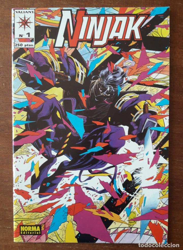 C&oacute;mics: NINJAK N&ordm; 1 NORMA COMICS (VALIANT) JOE QUESADA - Foto 1